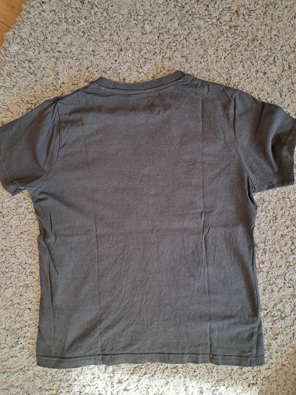 Camicie, T-shirt & Polo: 2x T-Shirt Gr. 146 – Usato da Winterthur venduto da fabelwin 6