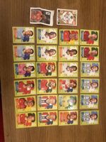 Panini WM Stickers 2026 Top Zustand wie neu Sammelobjekt!