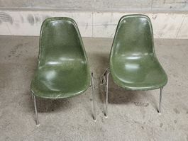 Eames Stühle Grün Fiberglas alt > Hermann Miller