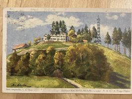 Alte Ansichtskarte: Bachtel Kulm - Top Zustand!