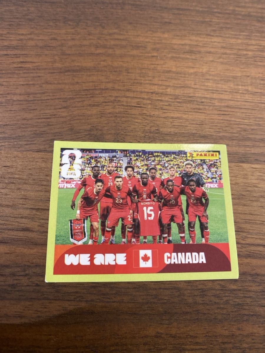 Panini Carte collezionabili: Panini Can 13 – Usato da schafisheim venduto da soni13