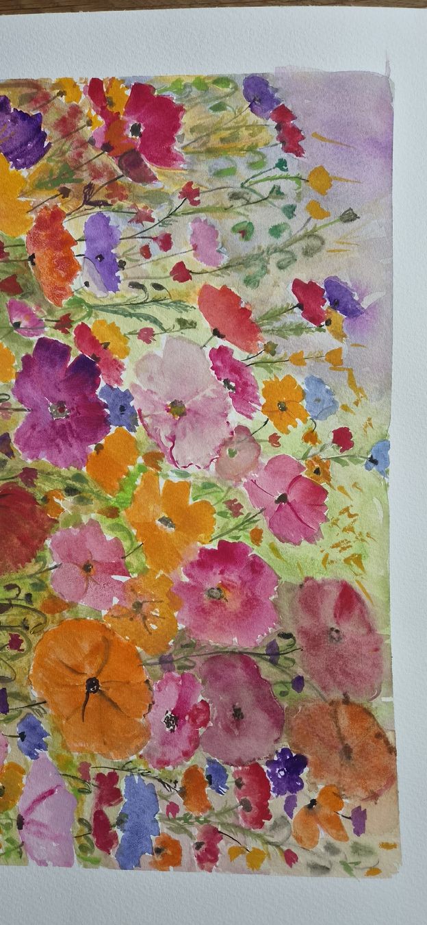 Dipinti: Colorful poppies – Nuovo e nell'imballaggio originale da Ebikon venduto da vij_fg72 1