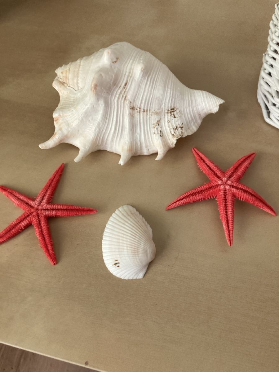 Tutte le decorazioni: Sommer-Deko-Set Meer – Usato da Selzach venduto da SB09 3