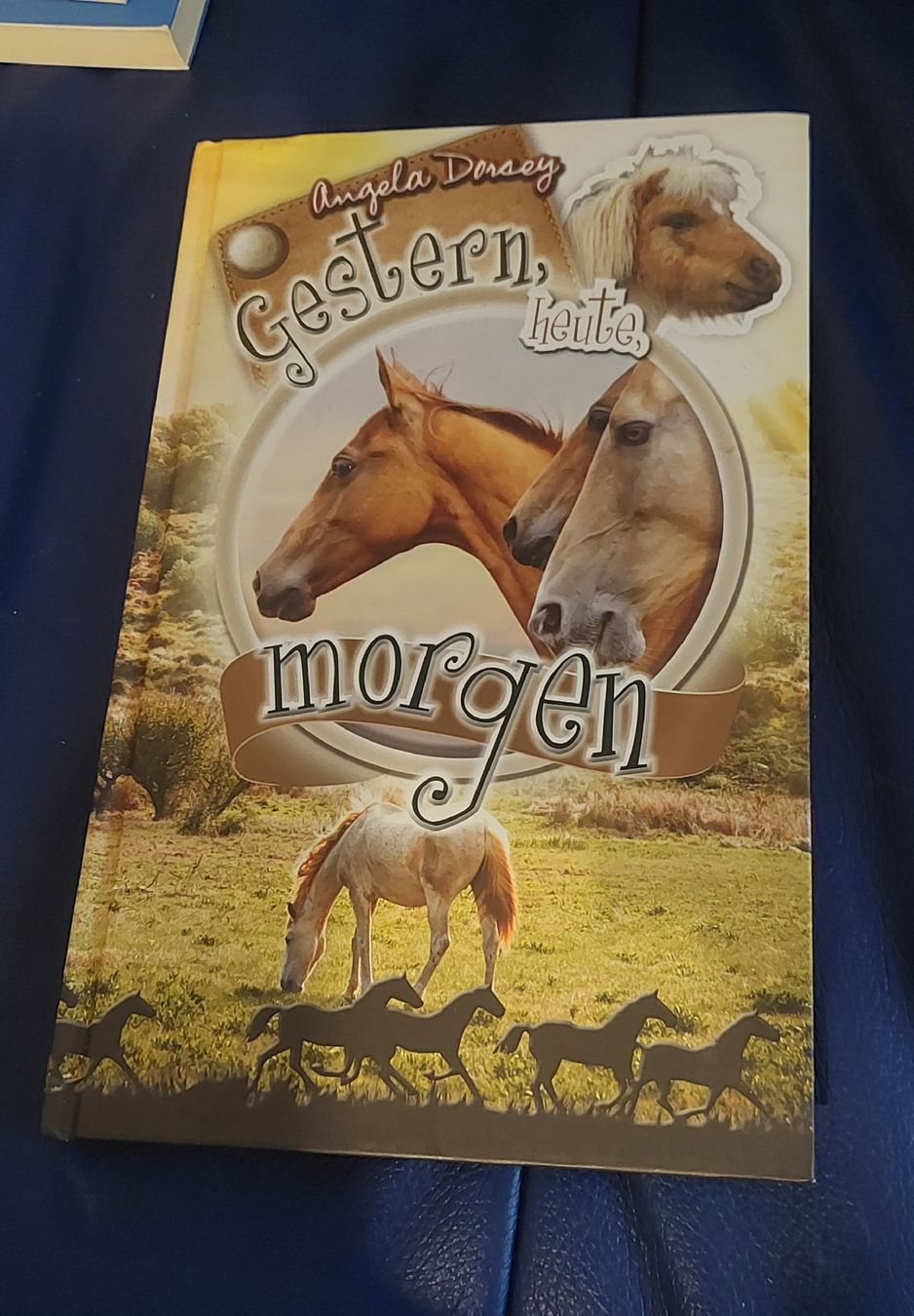 Livres: Buch Pferd Gestern heute morgen  – D'occasion à Belp par masterdriftking