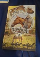 Buch Pferd Gestern heute morgen 