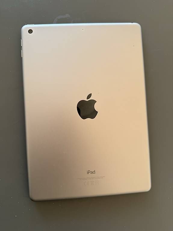 Tablet PC: iPad 6. Generation - 128GB – Gebraucht aus Ostermundigen von trillib 1