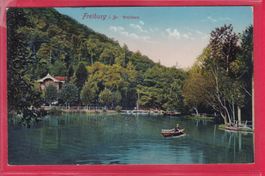 FREIBURG i. Br. WALDSEE, 29.6.1913