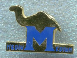 CAMEL MEDIU M EDIUM