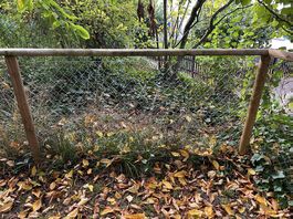 30m Gartenzaun/Diagonalgeflecht,Akazienpfosten Selbstabbau