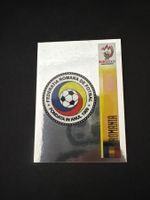 Panini UEFA EM 2008 Sticker - Nr. 311