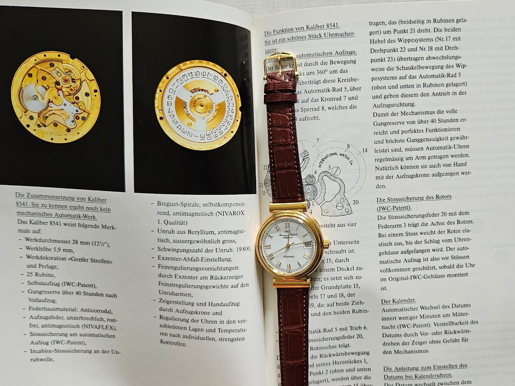 IWC Orologi: IWC Schaffhausen Ref. 1850 – Usato da Elgg venduto da Roophu 9