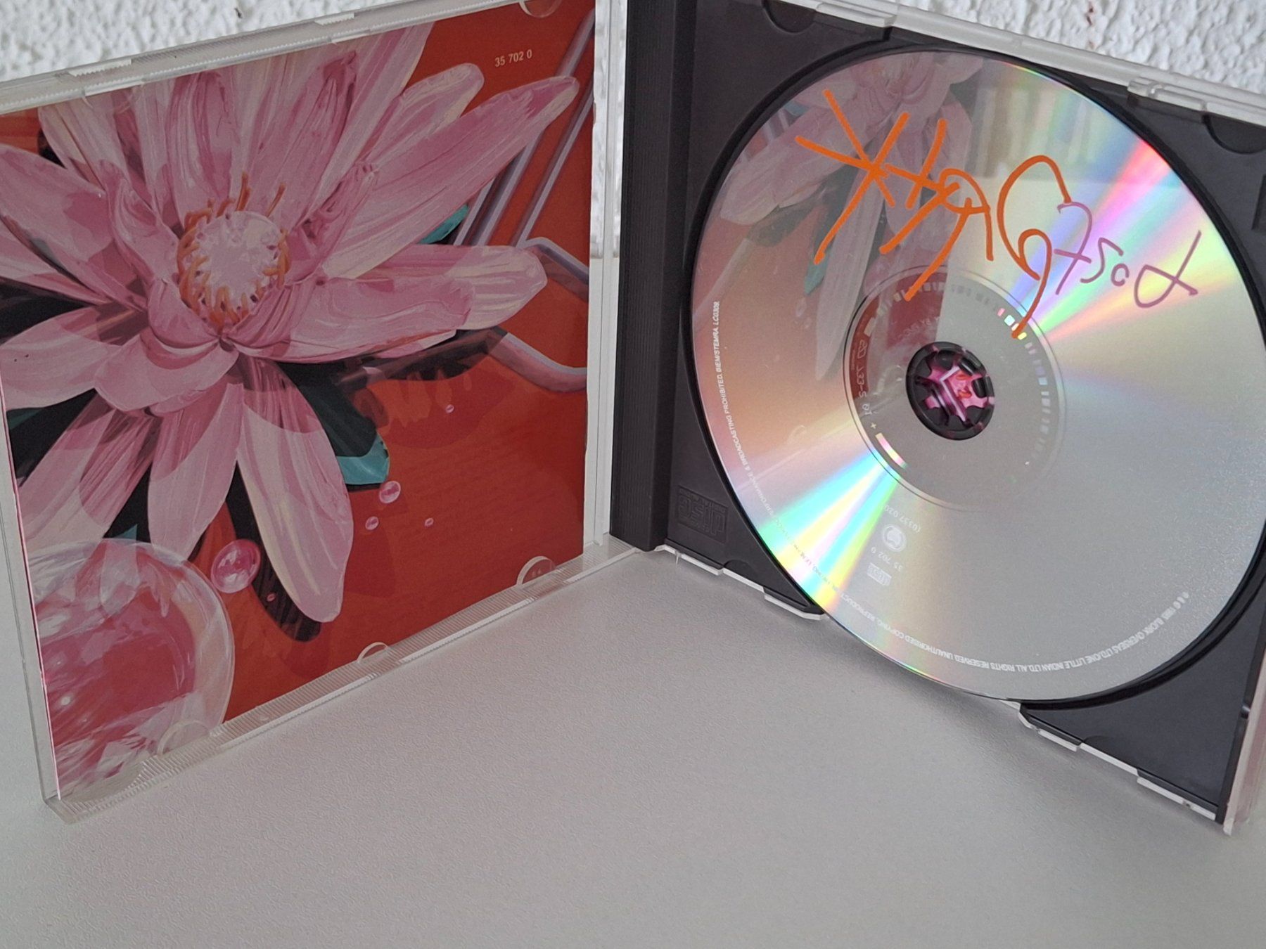 CDs: CD Björk  - Post – Gebraucht aus Aarberg von Jackup1 2