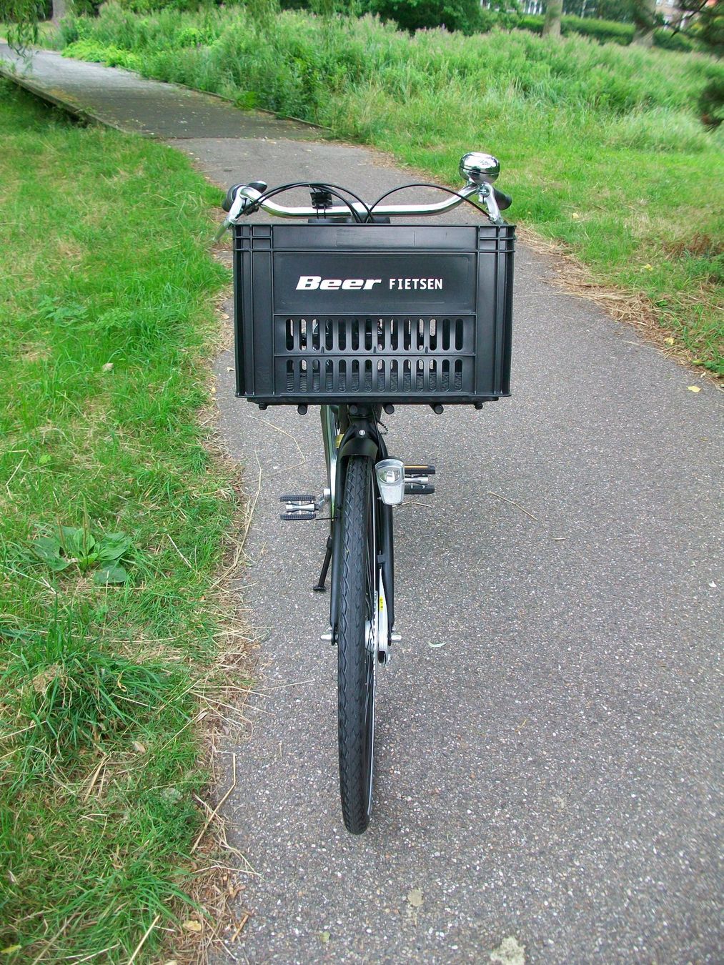 flat bike pedal The Sage Alloy Pedal main image 1