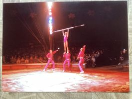 Circus Knie Foto 1982