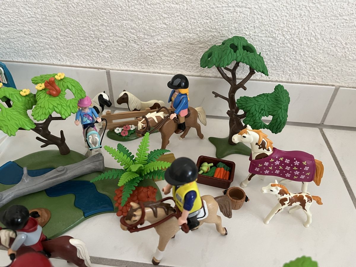 Playmobil Giocattoli: Grosses Playmobil Pferdegestüt – Usato da Uetikon am See venduto da Winnieclaudia 6
