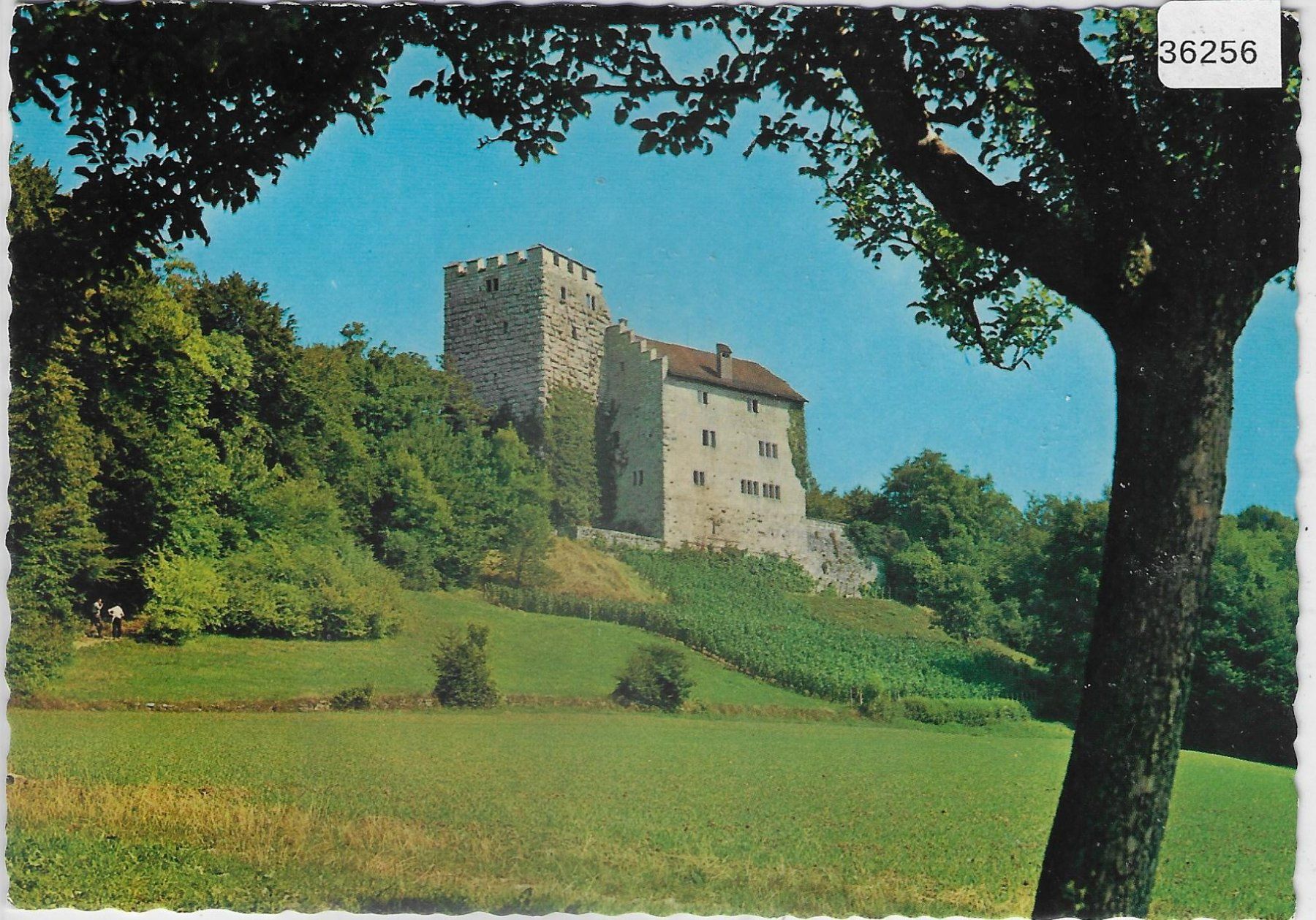 Cartoline postali: Schloss Habsburg – Usato da Ettingen venduto da Kartenplanet