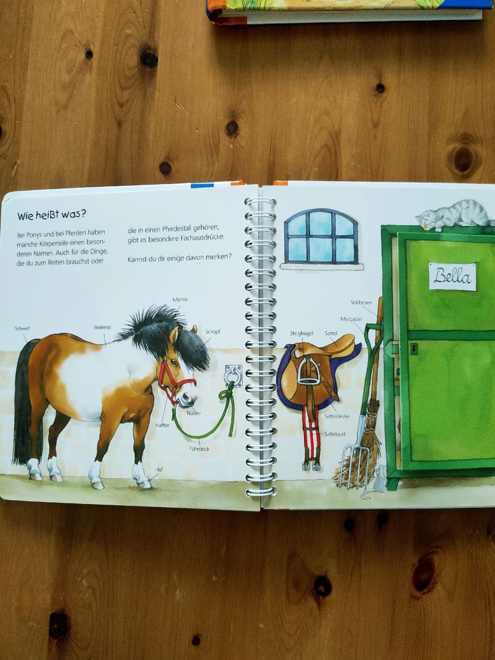 Libri: Kinderbücher: Wieso, weshalb, warum – Usato da Aesch BL venduto da lor_w6yy 1