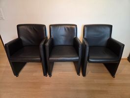 Staccato: Elegante schwarze Esszimmerstühle in Echtleder