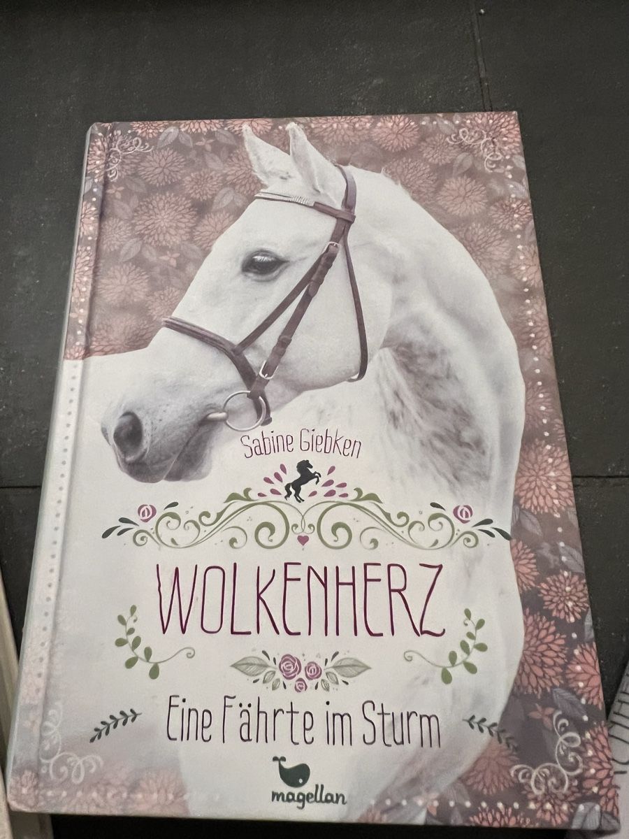 Libri: Wolkenherz – Nuovo (secondo la descrizione) da Flims Waldhaus venduto da casagrondasilvia 1
