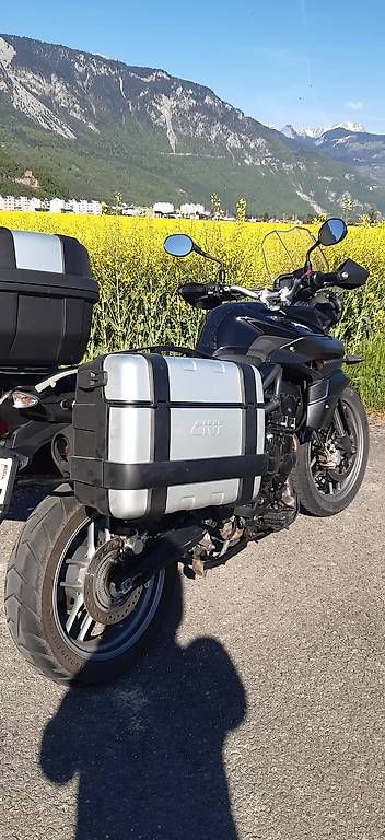 Triumph Touring: Triumph Tiger 800 ABS – Usato da Collombey venduto da sophie2008 1