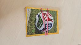 Panini / FIFA World Cup 2026 – 9er Set FWC Spezialsticker