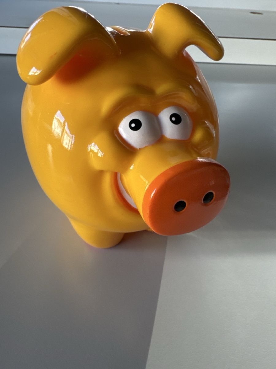 Salvadanai: Sparschwein Miggy  Sparsäuli – Usato da Zürich venduto da Smarties13