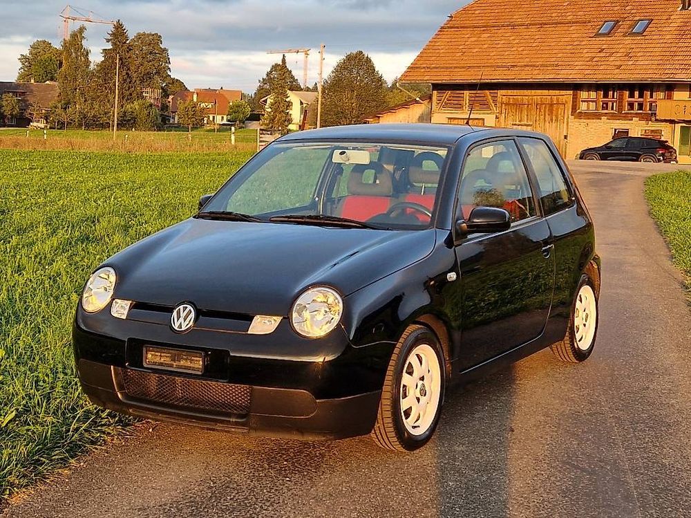 Lupo 3 Liter