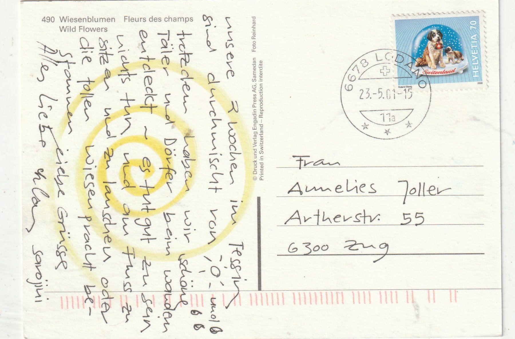 Cartoline postali: Blumenkarte – Usato da Lumbrein venduto da made02 1