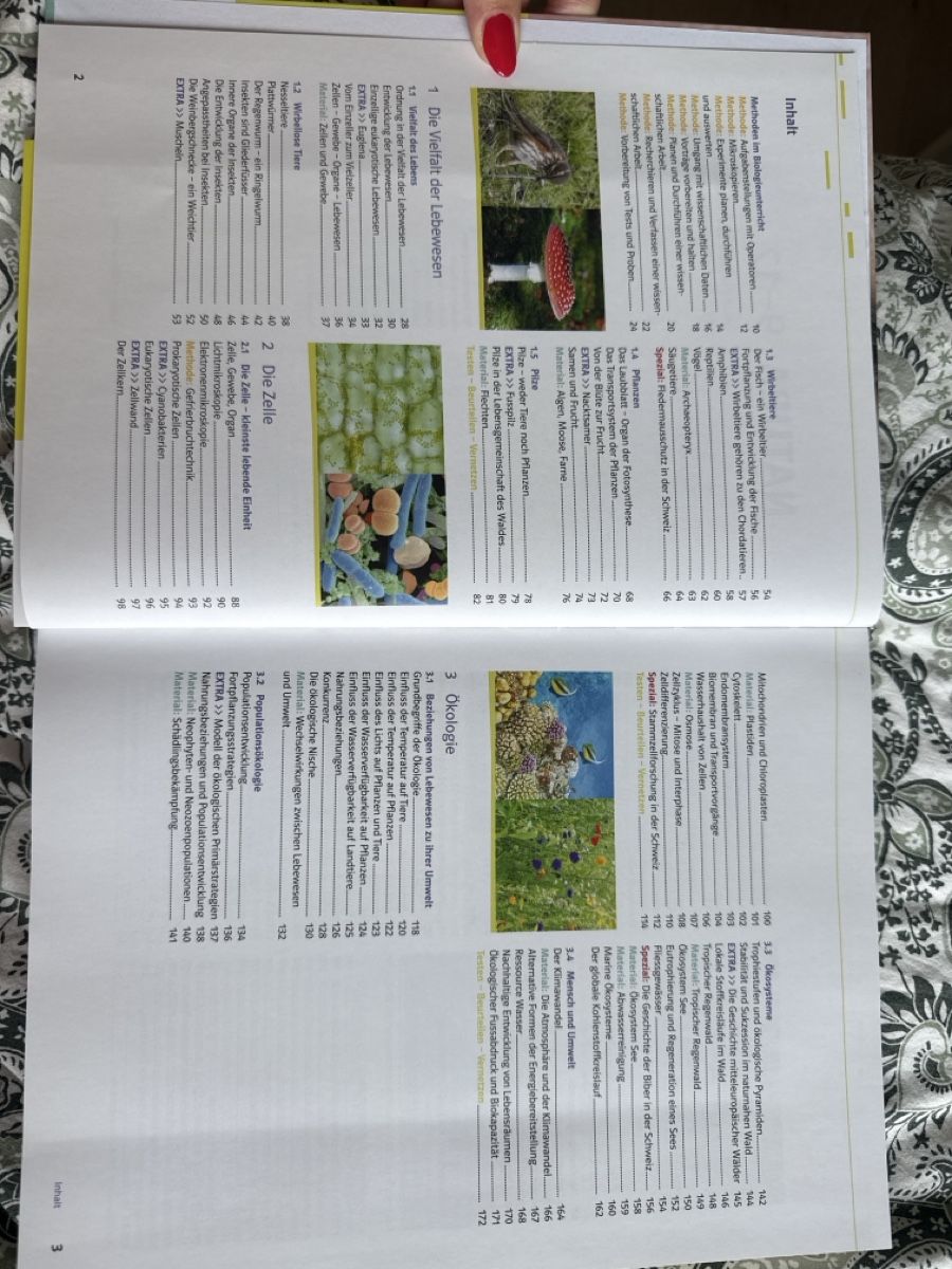 Libri: Natura 9-12 Klett – Nuovo (secondo la descrizione) da Herrliberg venduto da nuria_t 3
