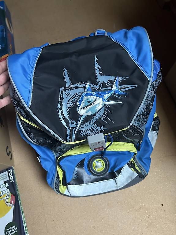 Borse & Zaini: Schulrucksack Kinder – Nuovo (secondo la descrizione) da Schöftland venduto da Triistann