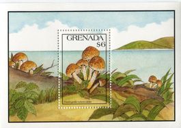 Block "Pilze". Grenada