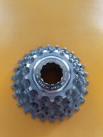 Campagnolo 9-fach Kassette 13–26 - Made in Italy - Silber