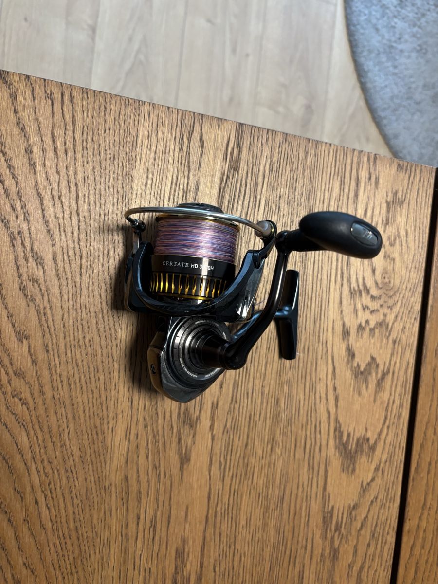 Daiwa Tamburi & Mulinelli: Angelrolle Daiwa Certate HD 3500 – Usato da Erlach venduto da Louis022 1