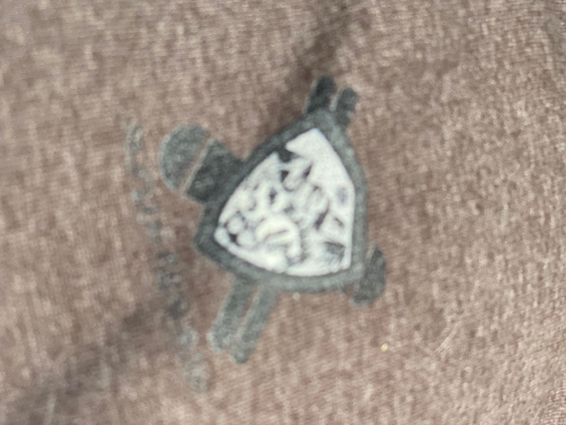 Pullover & Sweatshirts: Joli Sweat à Capuche club de ski!!! – Gebraucht aus Pfaeffikon ZH von BACozAfer 1