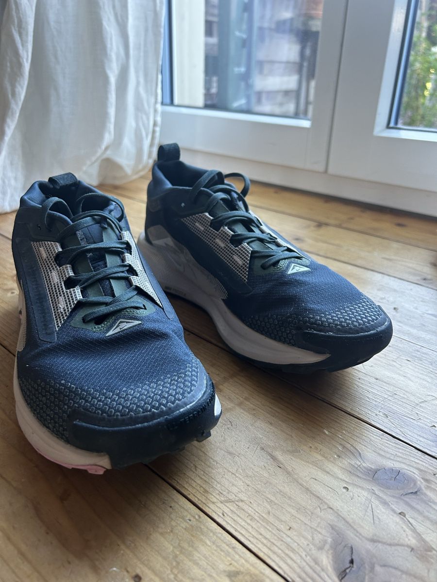 Damenschuhe: Nike Pegasus Trail 5 GTX – Gebraucht aus Horgen von Mary2.0