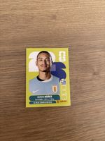 Panini Fifa WM 2026, URU 17