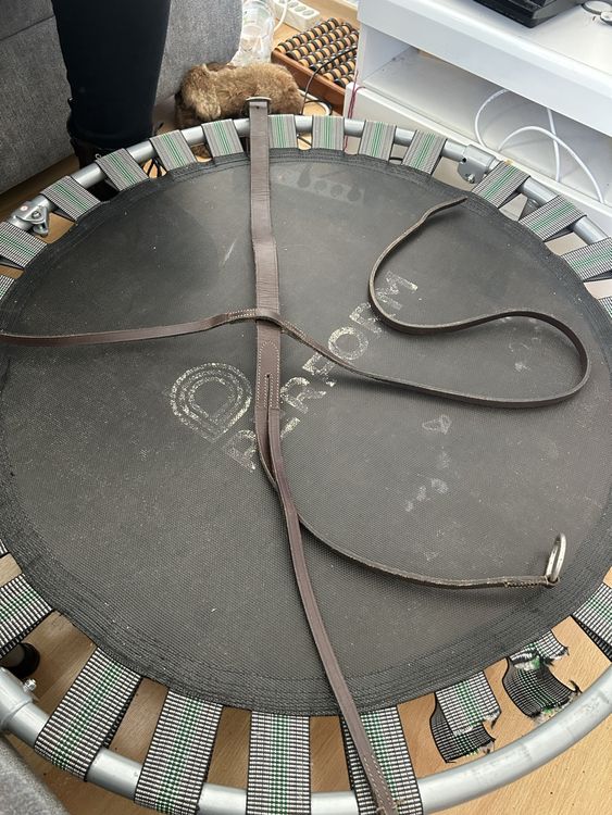 Martingal Kaufen auf Ricardo