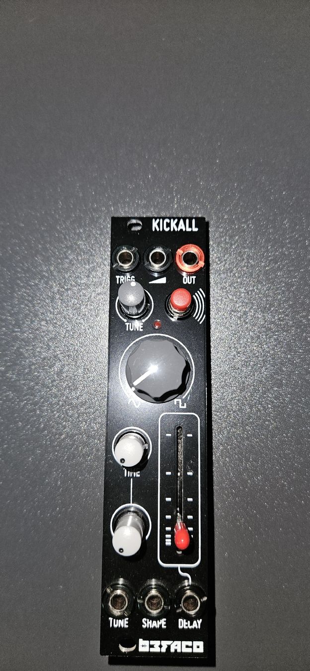 Strumenti musicali: Befaco Kickall VCO/Kick Eurorack Module – Nuovo (secondo la descrizione) da Vulliens venduto da irauchimax
