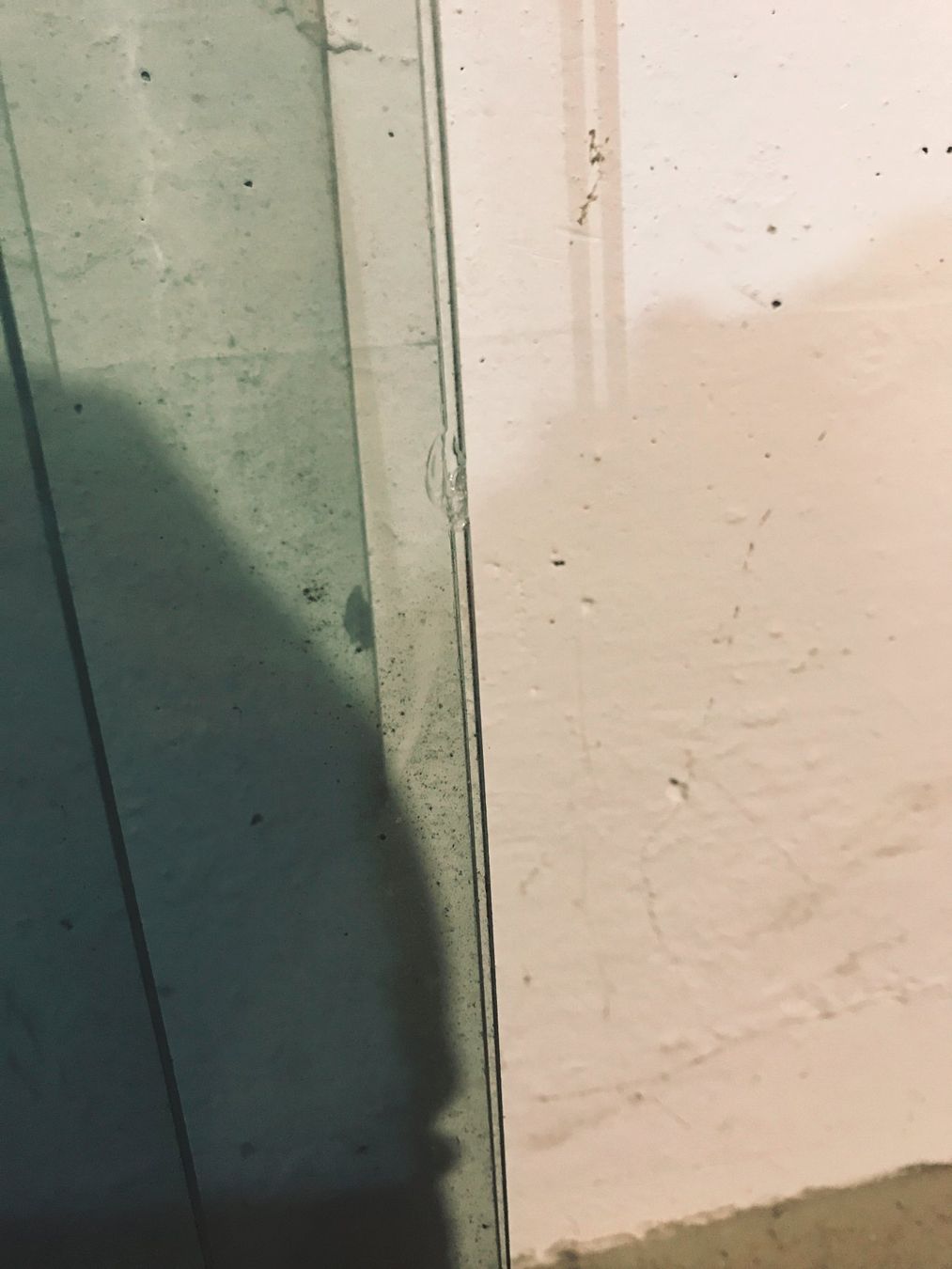 Piatti di portata: Glas Blatt, Blätter – Usato da Kreuzlingen venduto da JOWY72 4