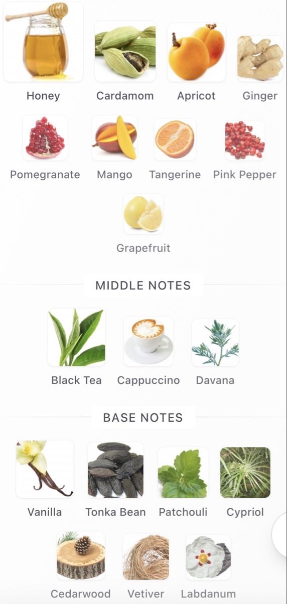 Amouage Parfum & Eau de Toilette: NICHE — ExdP Elsewhere — Amouage (decant) – Neu (gemäss Beschreibung) aus Genève von StaceyH 2