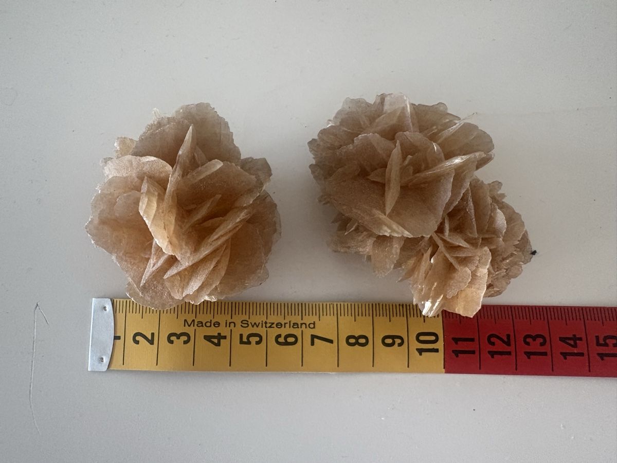 Minerali & Pietre curative: Wüstenrose aus Selenit – Usato da Schlieren venduto da pauley102 3