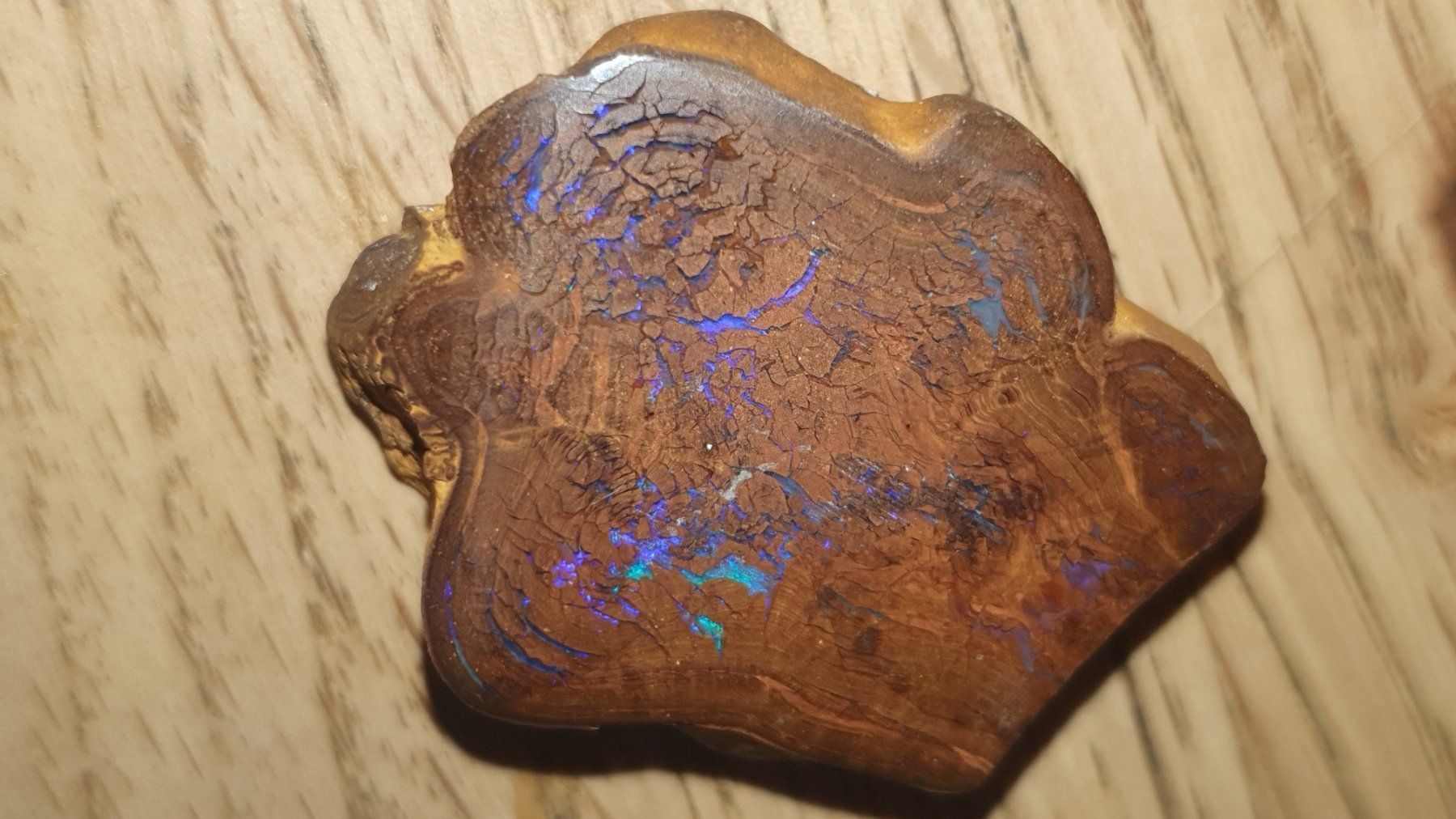 Fossili: Boulder Opal – Usato da Flawil venduto da Pinkmalibu 3