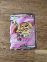 Dachsbun EX #160/142 Pokemon Stellar Crown