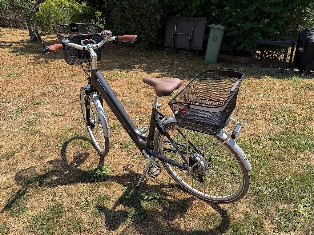 Velos: E-Bike Allegro Acil 03 28' – Gebraucht aus Auvernier von Luciforms 1