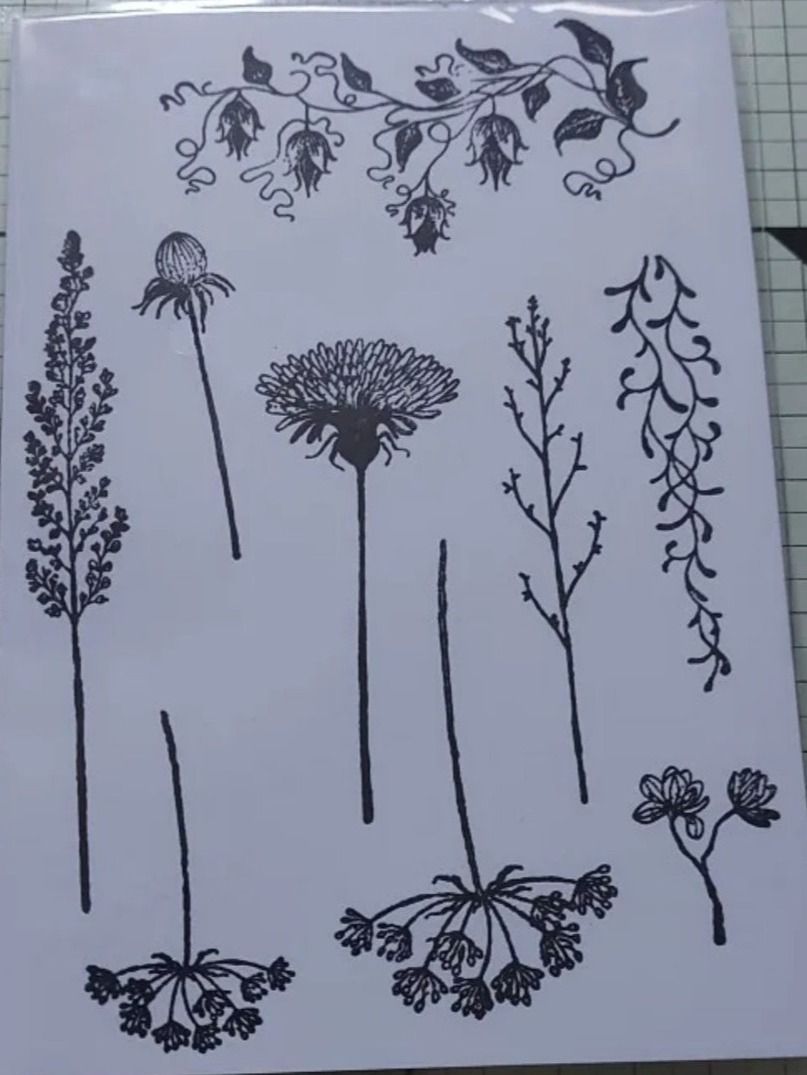 Timbri: Silikonstempel Nr.955, Blumen, Zweige – Nuovo e nell'imballaggio originale da Gretzenbach venduto da Fliegepilz56