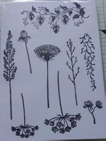 Silikonstempel Nr.955, Blumen, Zweige