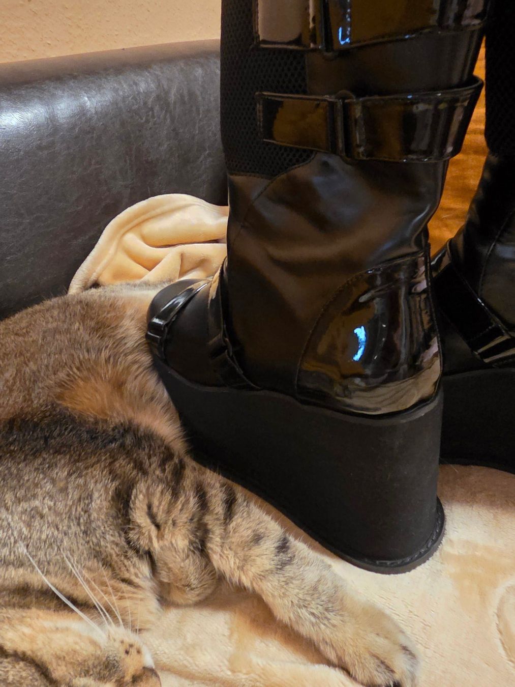 Killstar Herrenschuhe: Bottes KillStar à plateforme – Gebraucht aus Genève von BruceKampbell 1