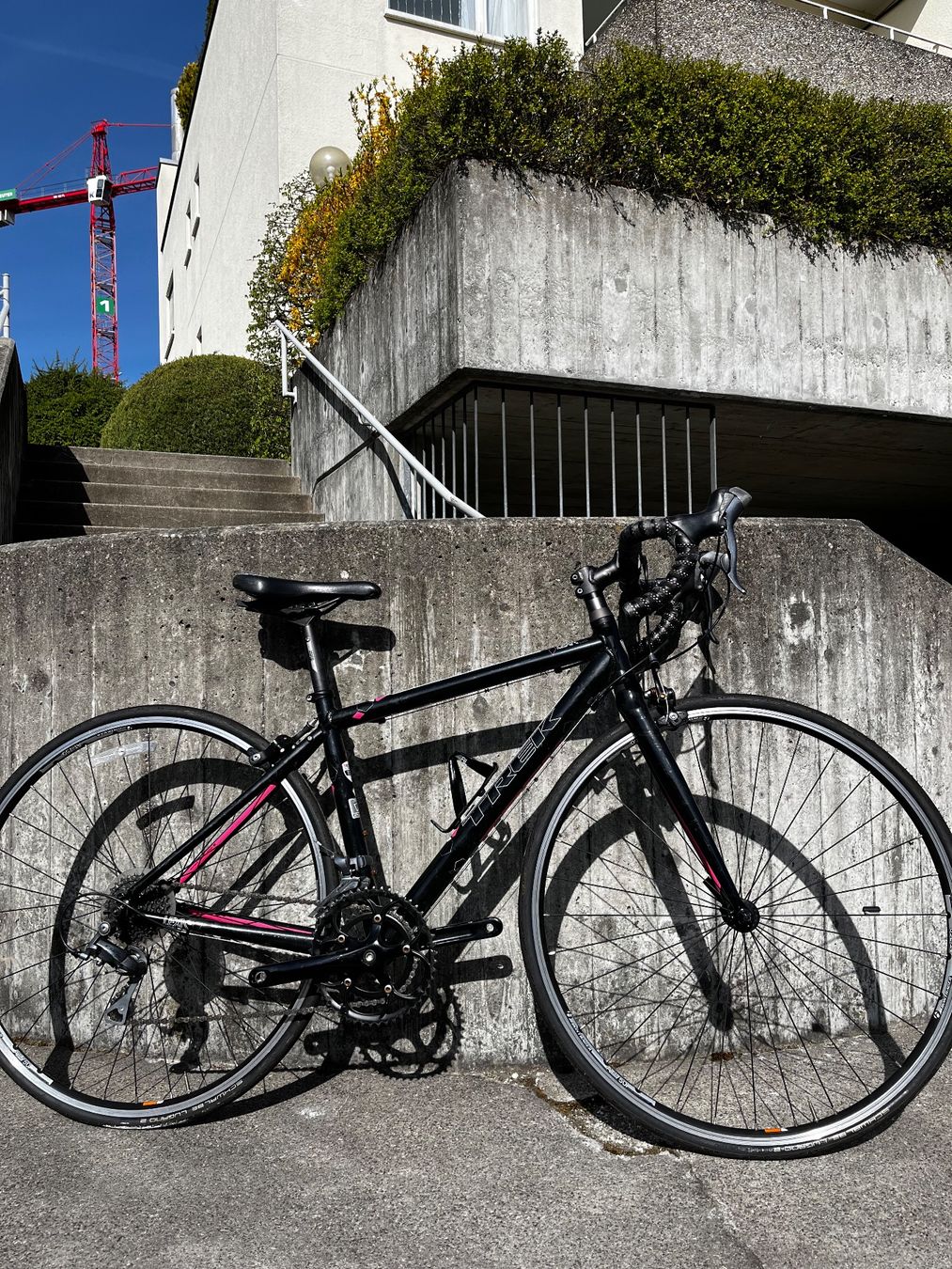 Trek Lexa S Rennrad Damen (Gebraucht) in Zrich fr CHF 200  nur Abholung  auf Ricardo kaufen