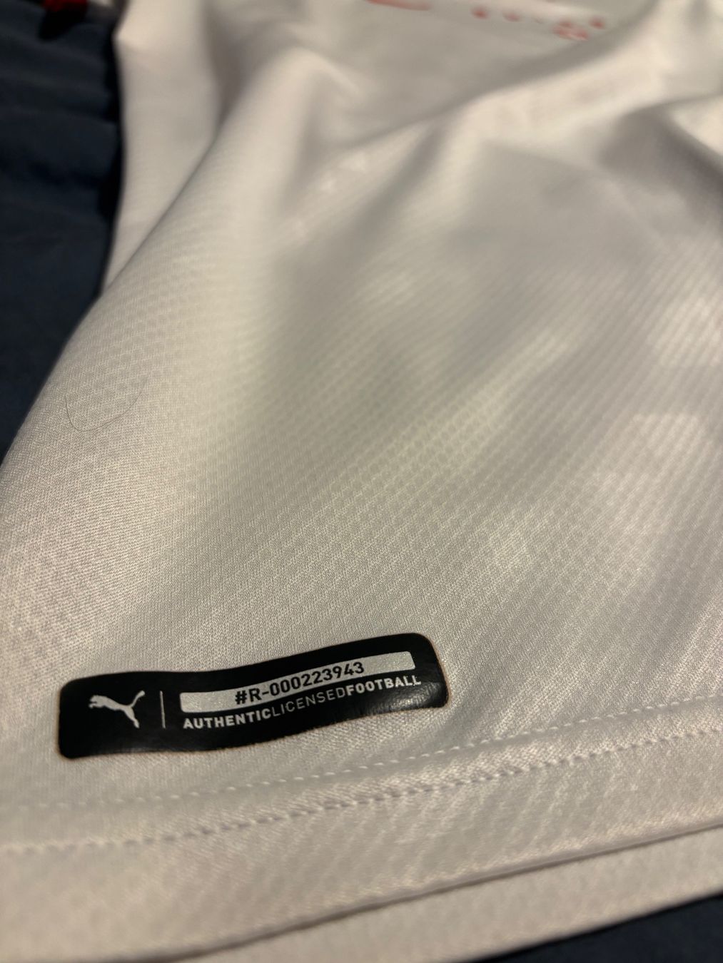 Schweizer Nati Canottiere & Pantaloni: Schweizer Trikot Away / Grösse L – Nuovo (secondo la descrizione) da Diepoldsau venduto da yannick_1805 3
