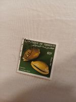 Timbre rare Djibouti 1985 - coquillages Cyprea camel.